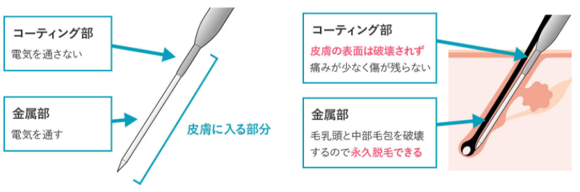 https://beautyskinclinic.jp/